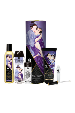 Подарочный набор Shunga ''Плотские утехи'' / Carnal Pleasures